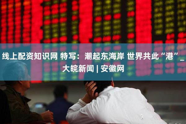 线上配资知识网 特写：潮起东海岸 世界共此“港”_大皖新闻 | 安徽网