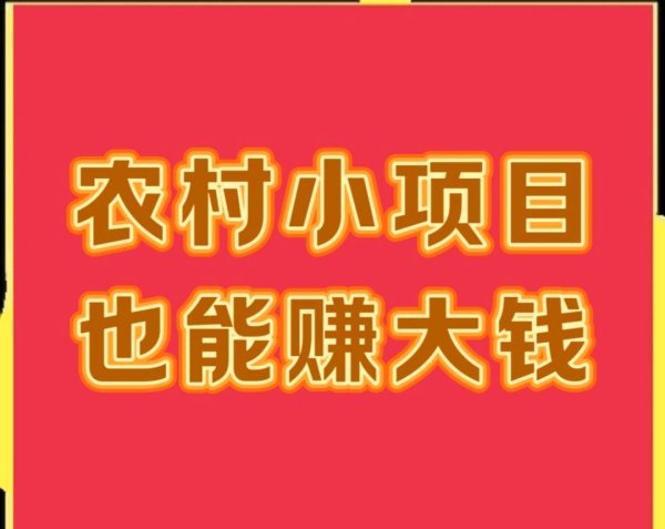 十大股票杠杆排名 农村小项目也能赚大钱，年入十万真不难，不信来看！