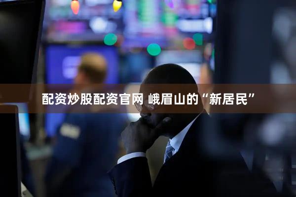 配资炒股配资官网 峨眉山的“新居民”